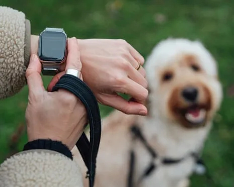 The Truth Regarding Wearable Tech? Living Is Better Lacking a Nagging Zealot on Your Arm